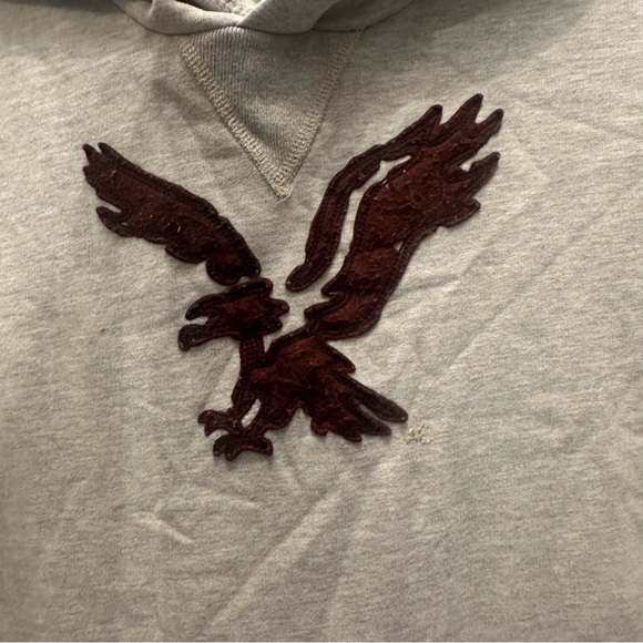 EUC American Eagle Hoodie. Men’s Medium Tall - Picture 6 of 6